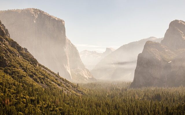 El-tavle på budget: Sådan sammenligner du tilbud