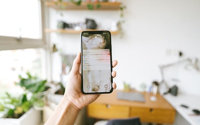 Hemmelige numre: Kan du finde ejeren?